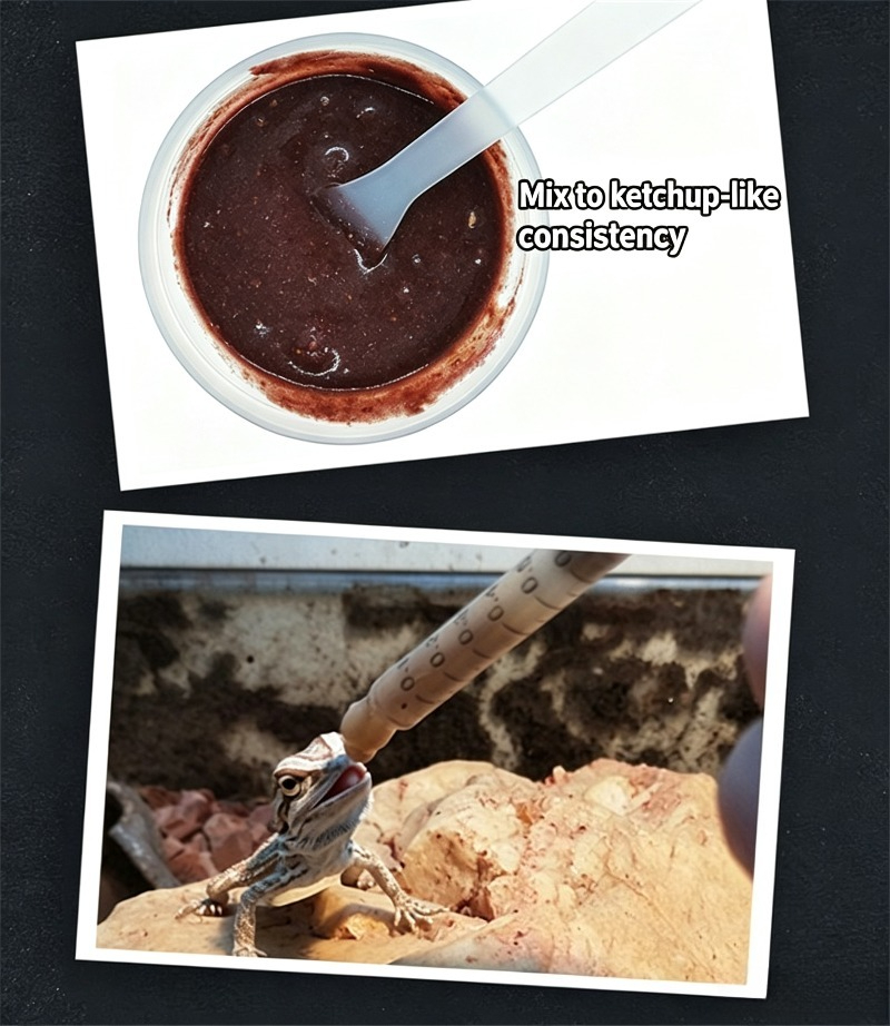 Reptile Food Gecko Insect Frui - Calcium Powder Reptile recension och pris