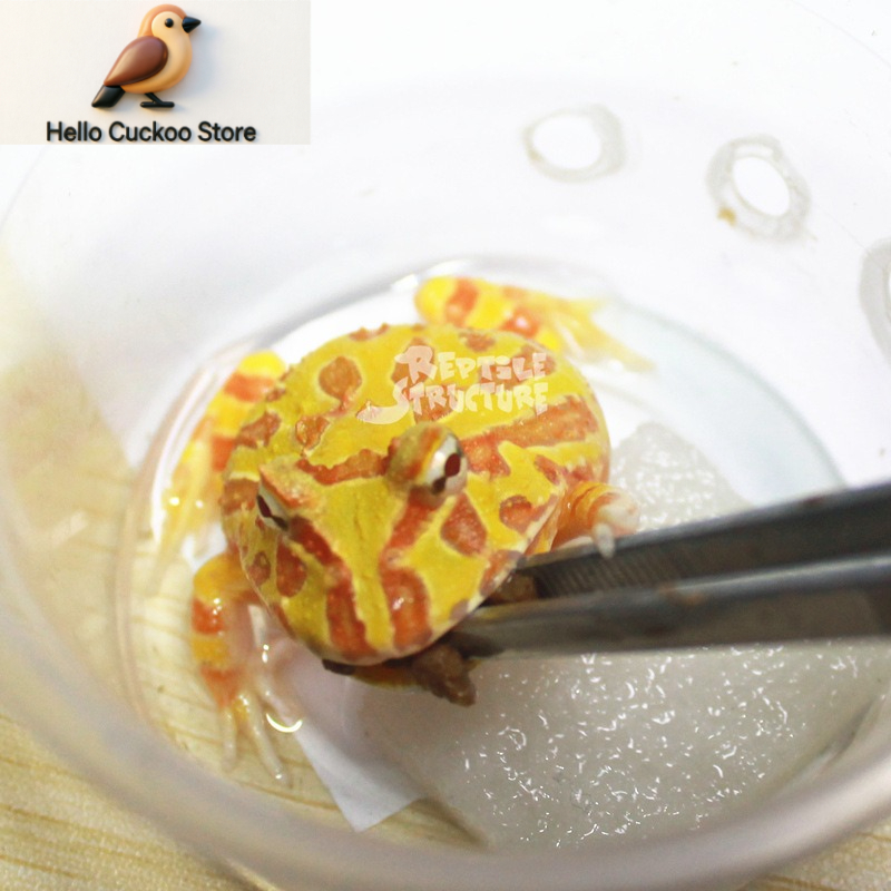 Horned Frog Food Granules Powd - Calcium Powder Reptile recension och pris