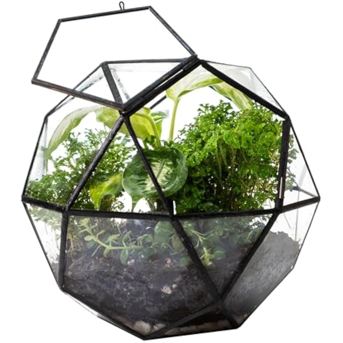 Geometric Sphere Terrarium wit - Glass Door Hinge recension och pris