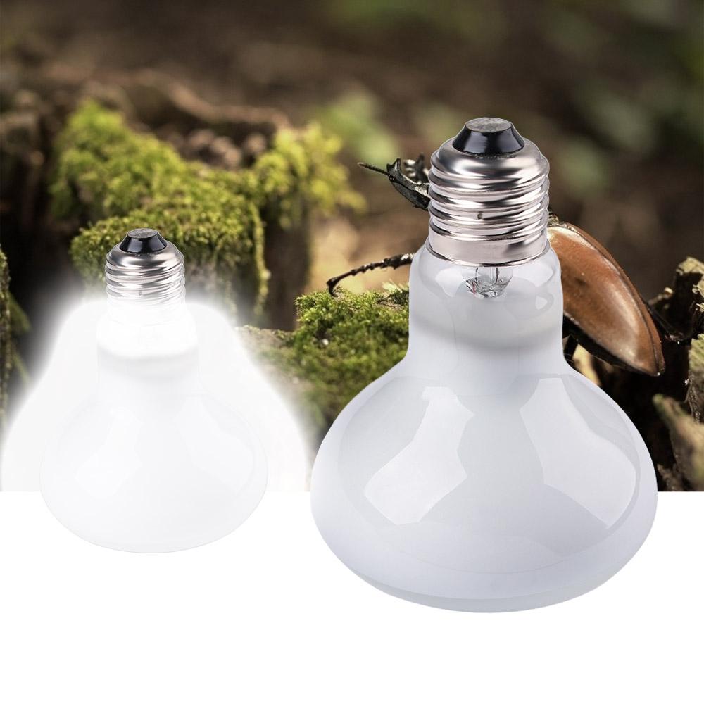 Turtle Heater Heat Lamp Reptil - Basking Bulb Halogen recension och pris