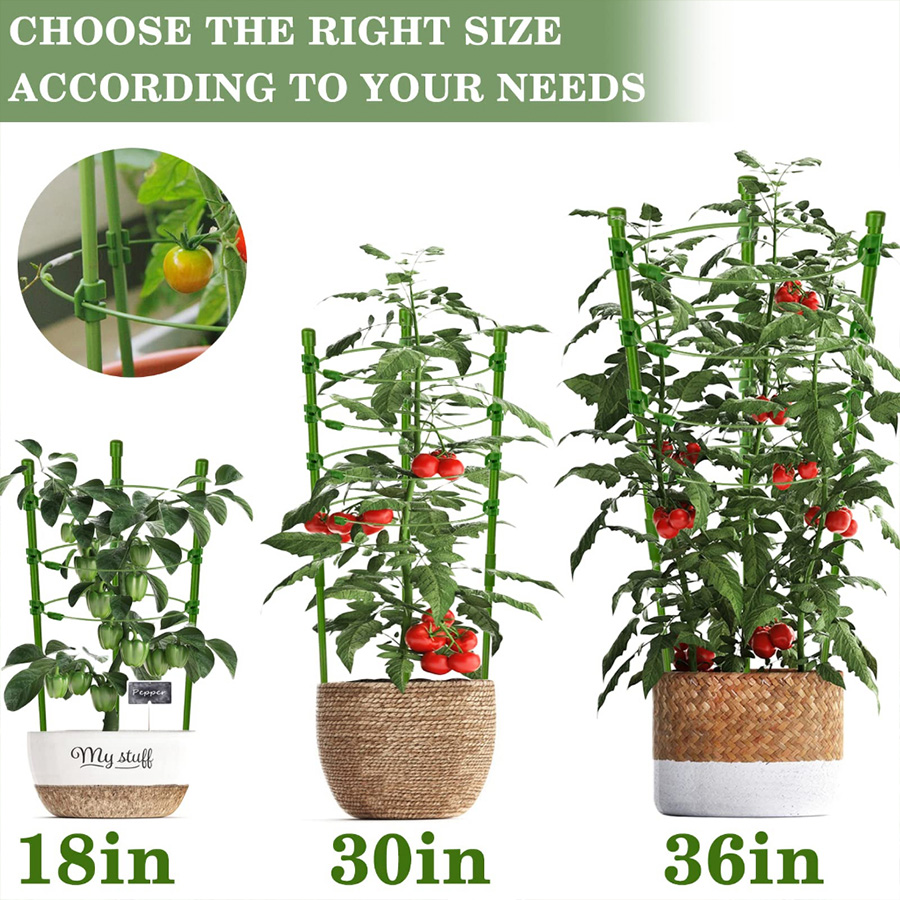 Durable Thickened Plastic Plan - Vine Climbing Plastic recension och pris