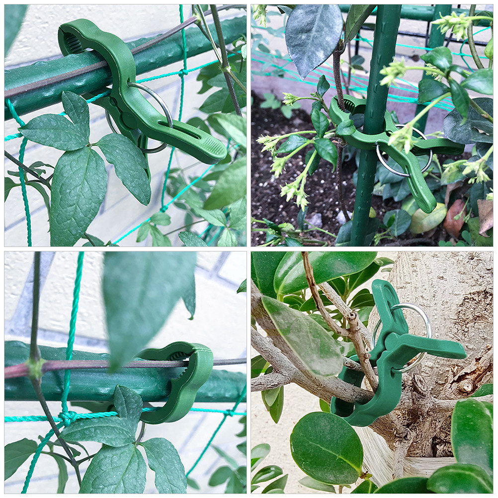 60Pcs Plastic Plant Support Cl - Vine Climbing Plastic recension och pris